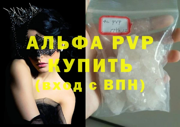 стафф Вязьма