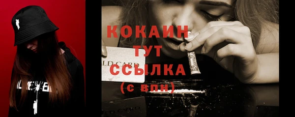 стафф Вязьма