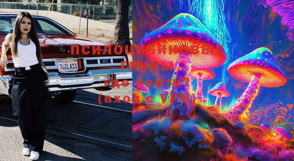 стафф Вязьма